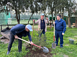 Около 100 деревьев в память о погибших участниках СВО высадили в парке им. Ленинского комсомола Махачкалы
